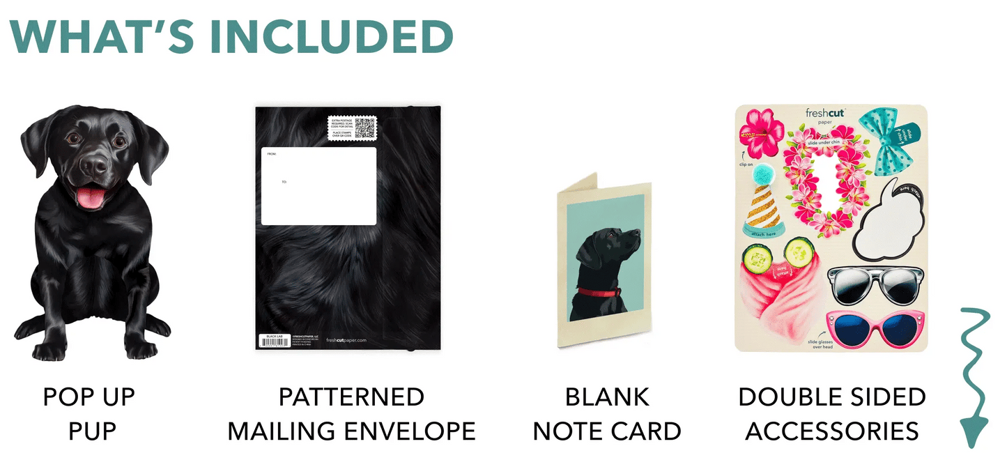 Freshcut Paper. Black Lab - Pop Up Greeting Card