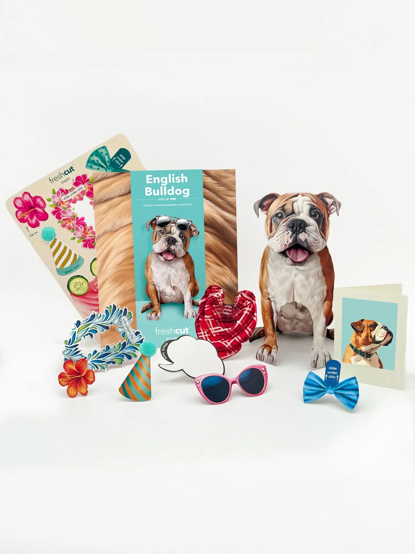 Freshcut Paper. English Bulldog - Pop Up Greeting Card