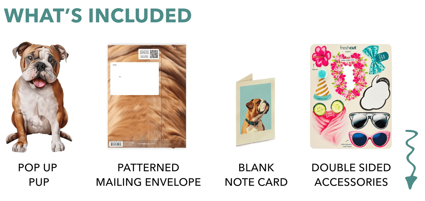 Freshcut Paper. English Bulldog - Pop Up Greeting Card