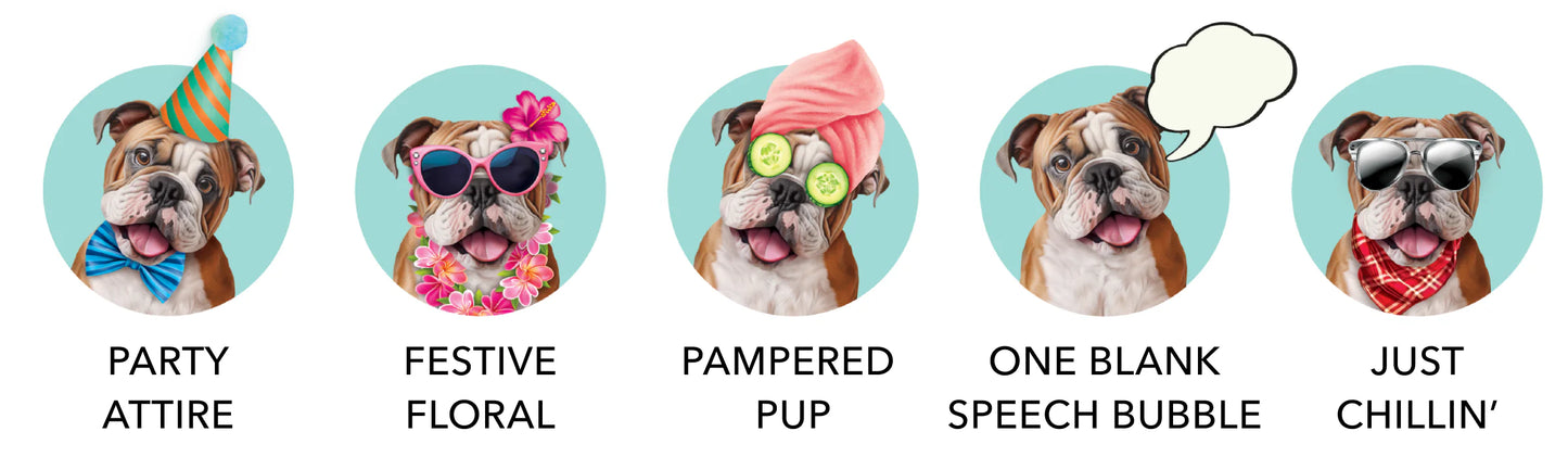 Freshcut Paper. English Bulldog - Pop Up Greeting Card