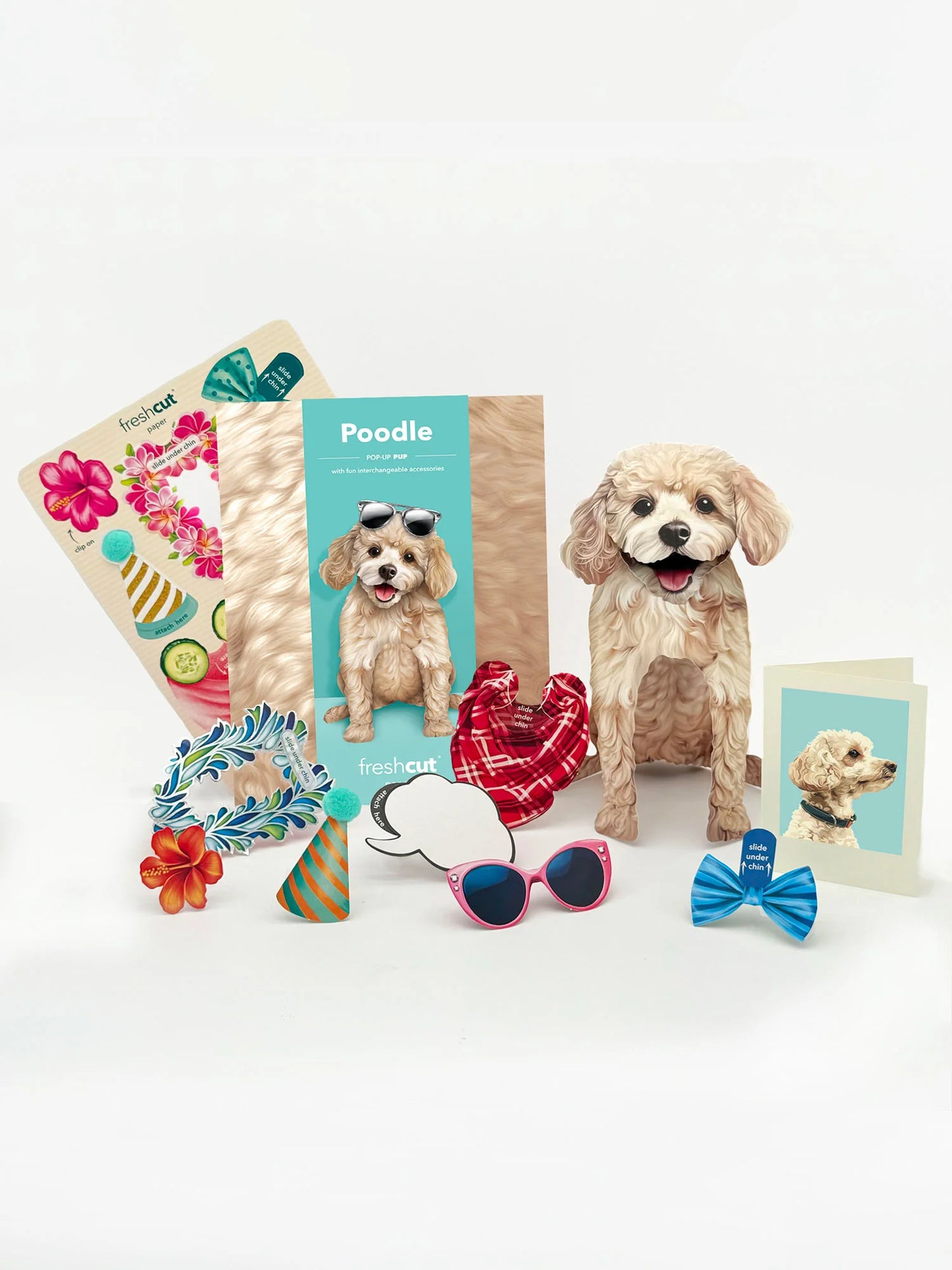 Freshcut Paper. Poodle - Pop Up Greeting Card