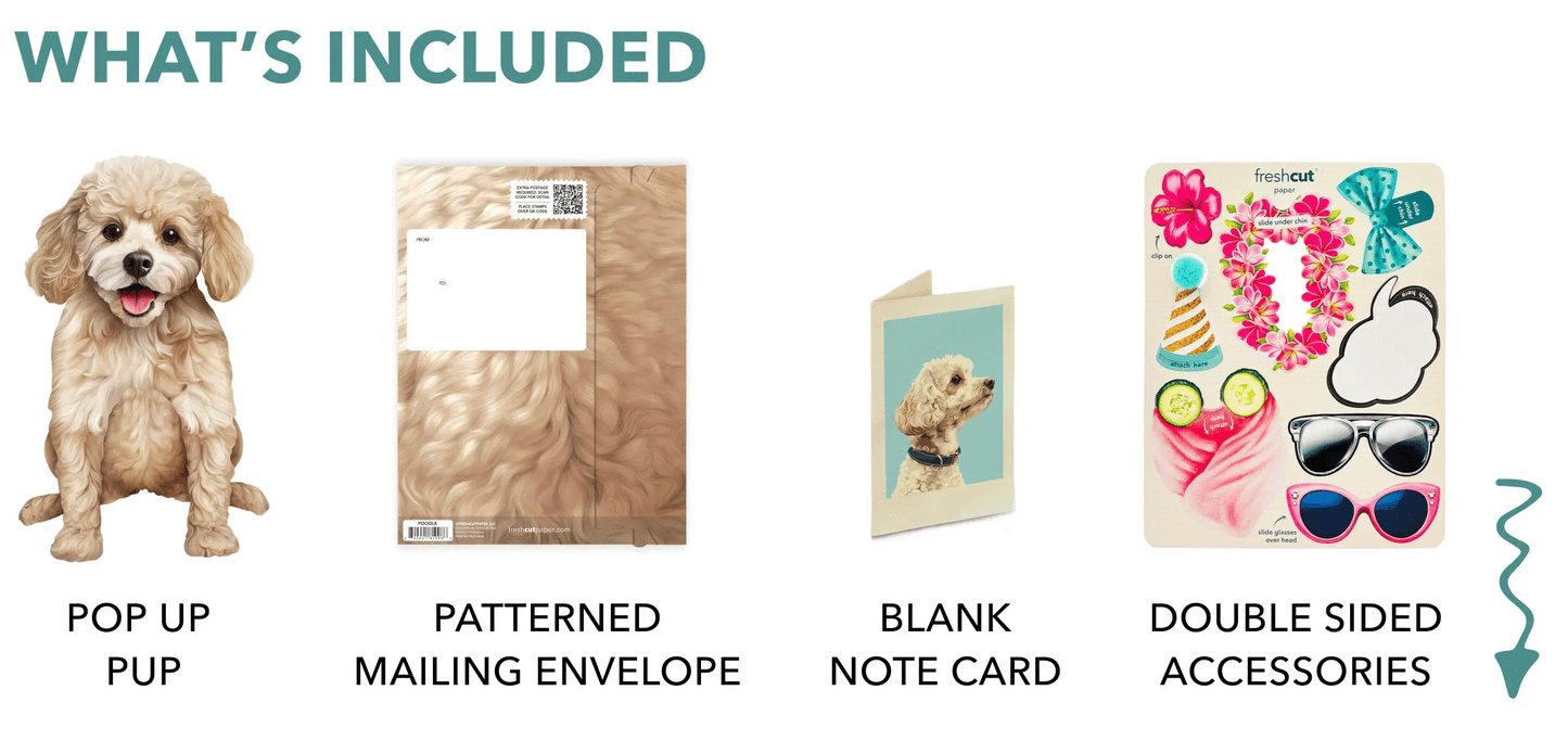 Freshcut Paper. Poodle - Pop Up Greeting Card