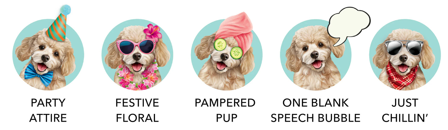 Freshcut Paper. Poodle - Pop Up Greeting Card