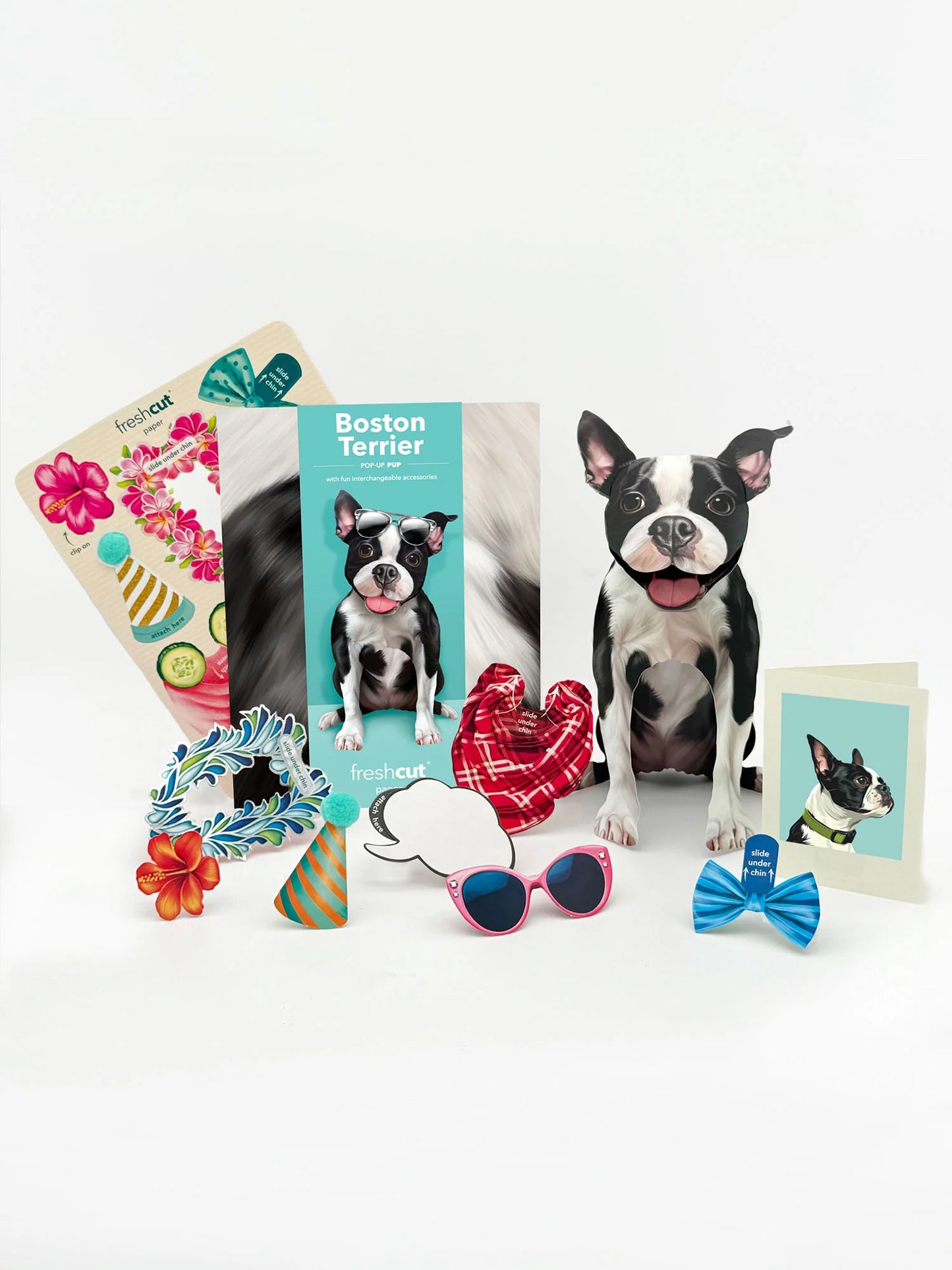 Freshcut Paper. Boston Terrier - Pop Up Greeting Card