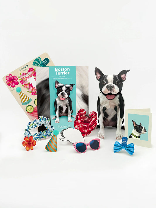 Freshcut Paper. Boston Terrier - Pop Up Greeting Card