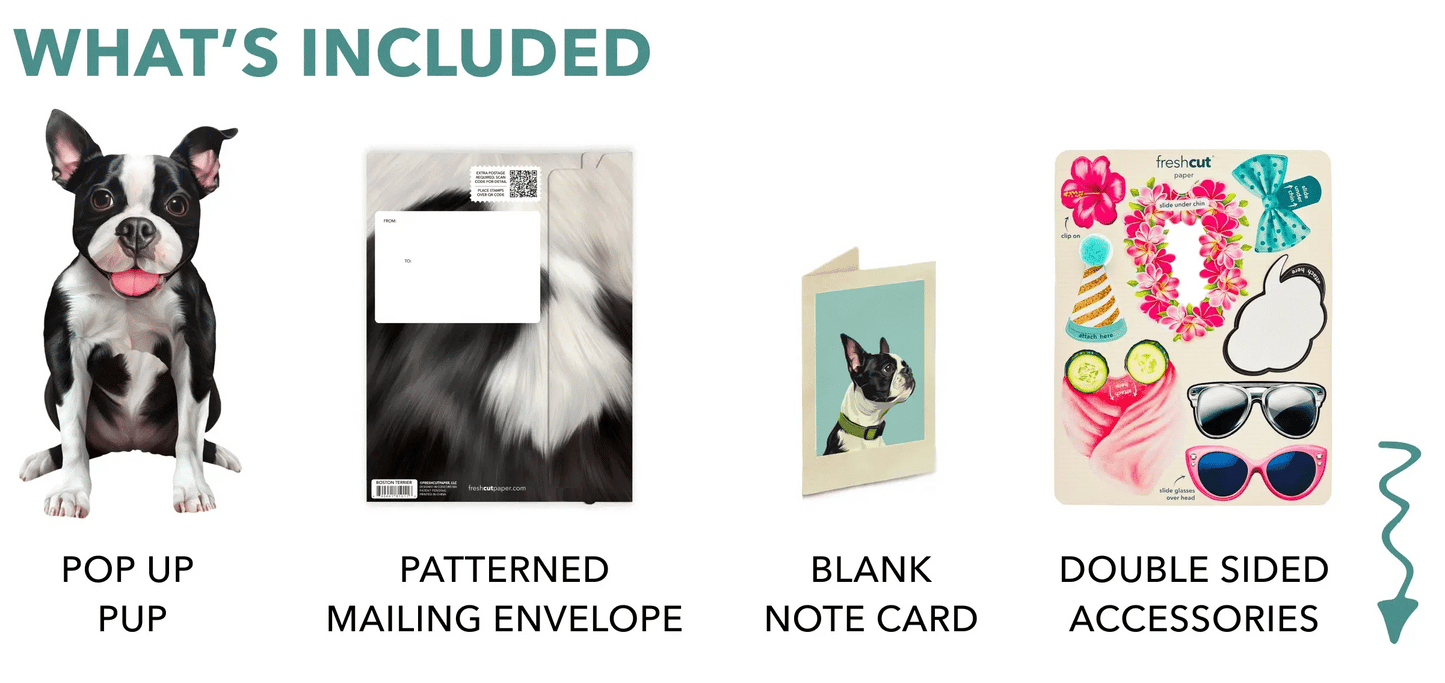 Freshcut Paper. Boston Terrier - Pop Up Greeting Card