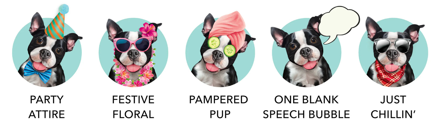 Freshcut Paper. Boston Terrier - Pop Up Greeting Card