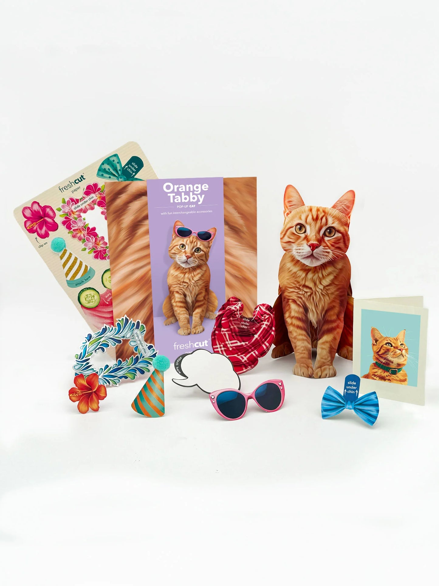 Freshcut Paper. Orange Tabby - Pop Up Greeting Card