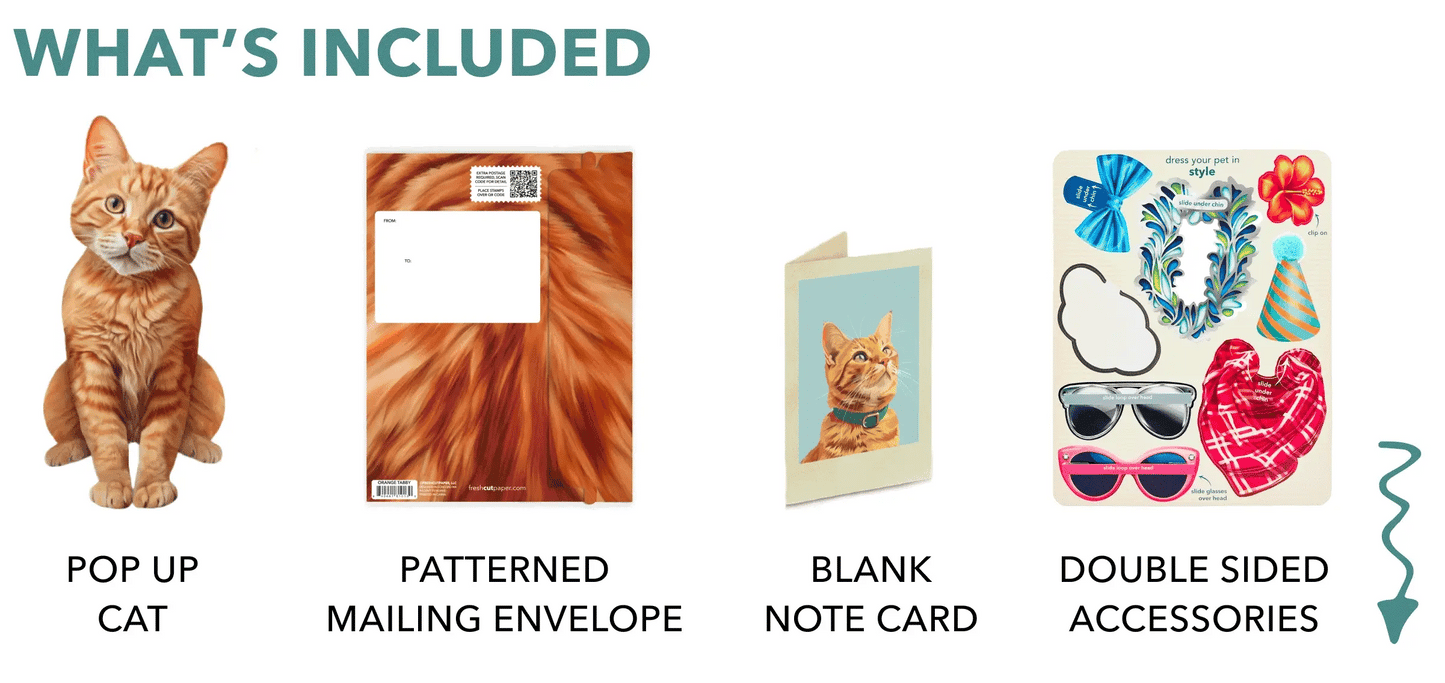 Freshcut Paper. Orange Tabby - Pop Up Greeting Card