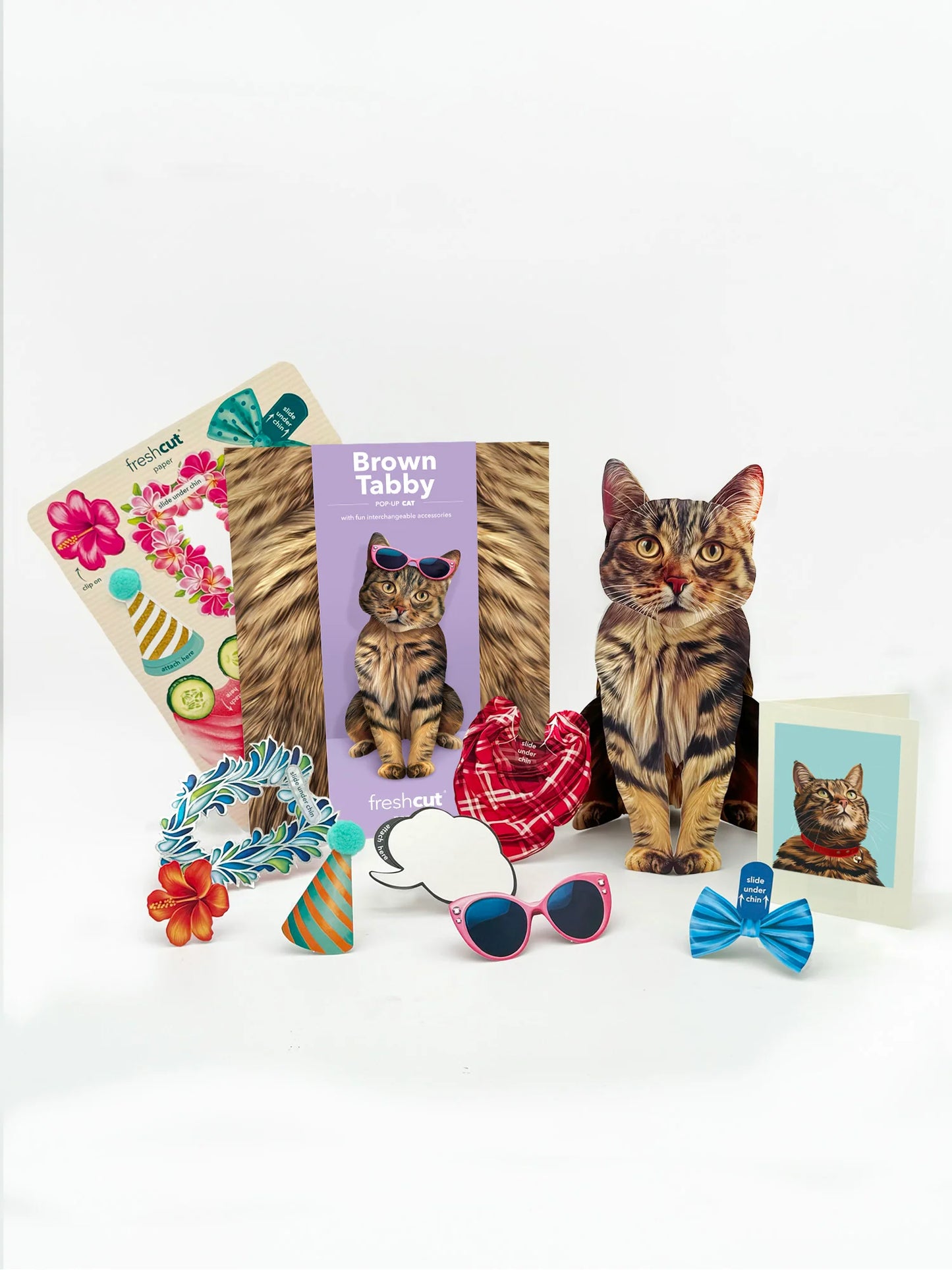 Freshcut Paper. Brown Tabby - Pop Up Greeting Card