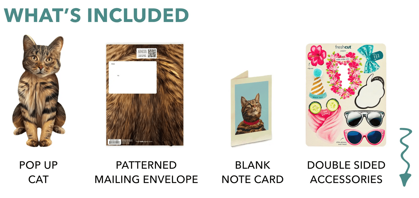 Freshcut Paper. Brown Tabby - Pop Up Greeting Card