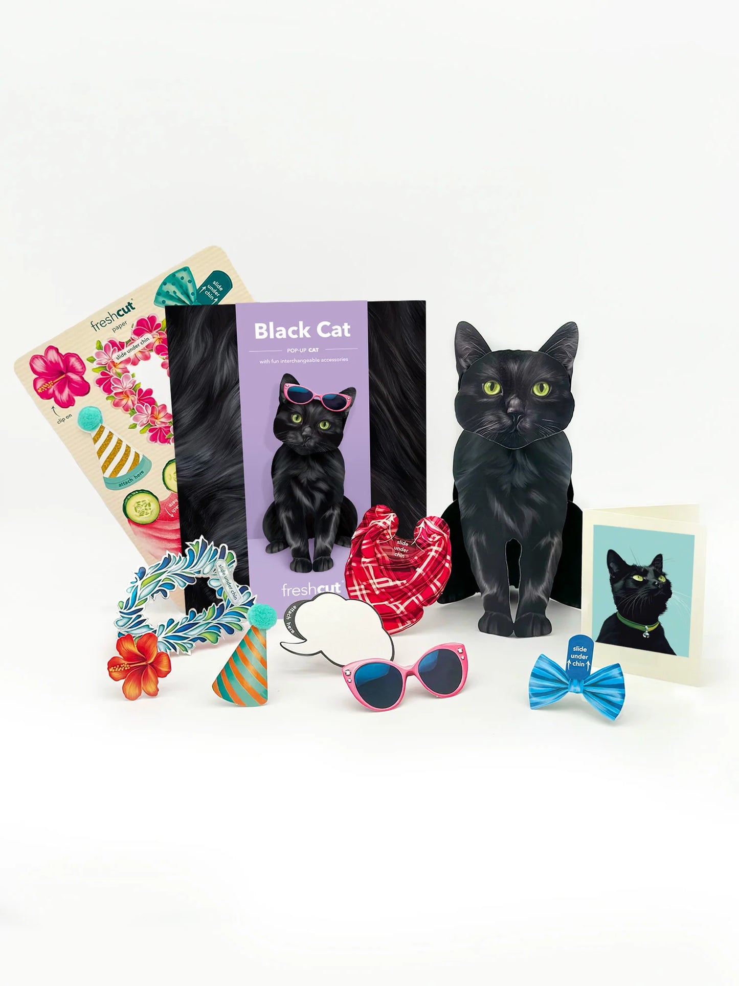Freshcut Paper. Black Cat - Pop Up Greeting Card