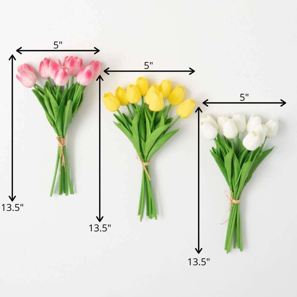 SPRINGTIME BLOOMING TULIP BUSH