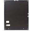 Lawrence Frame - Black Shadow Box 11 x 14