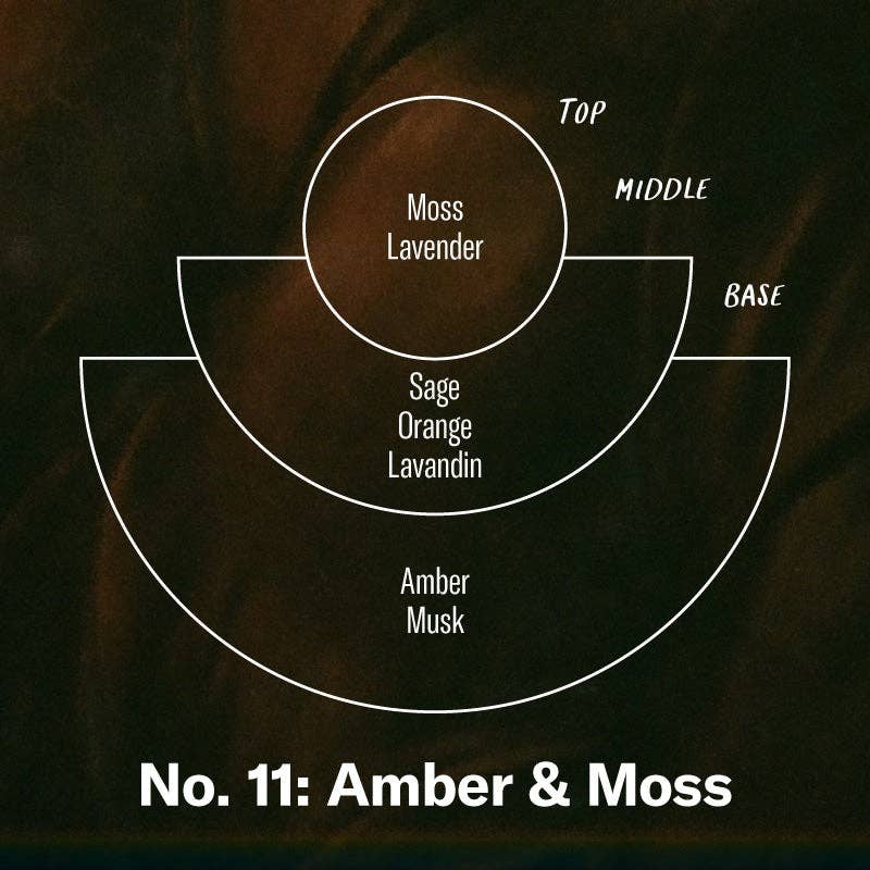 P.F. Candle Co. Amber & Moss - Large Concentrated Candle