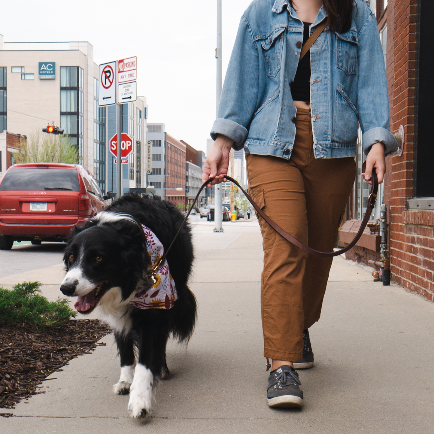 Fontenelle Supply Co. - Leather Dog Leash