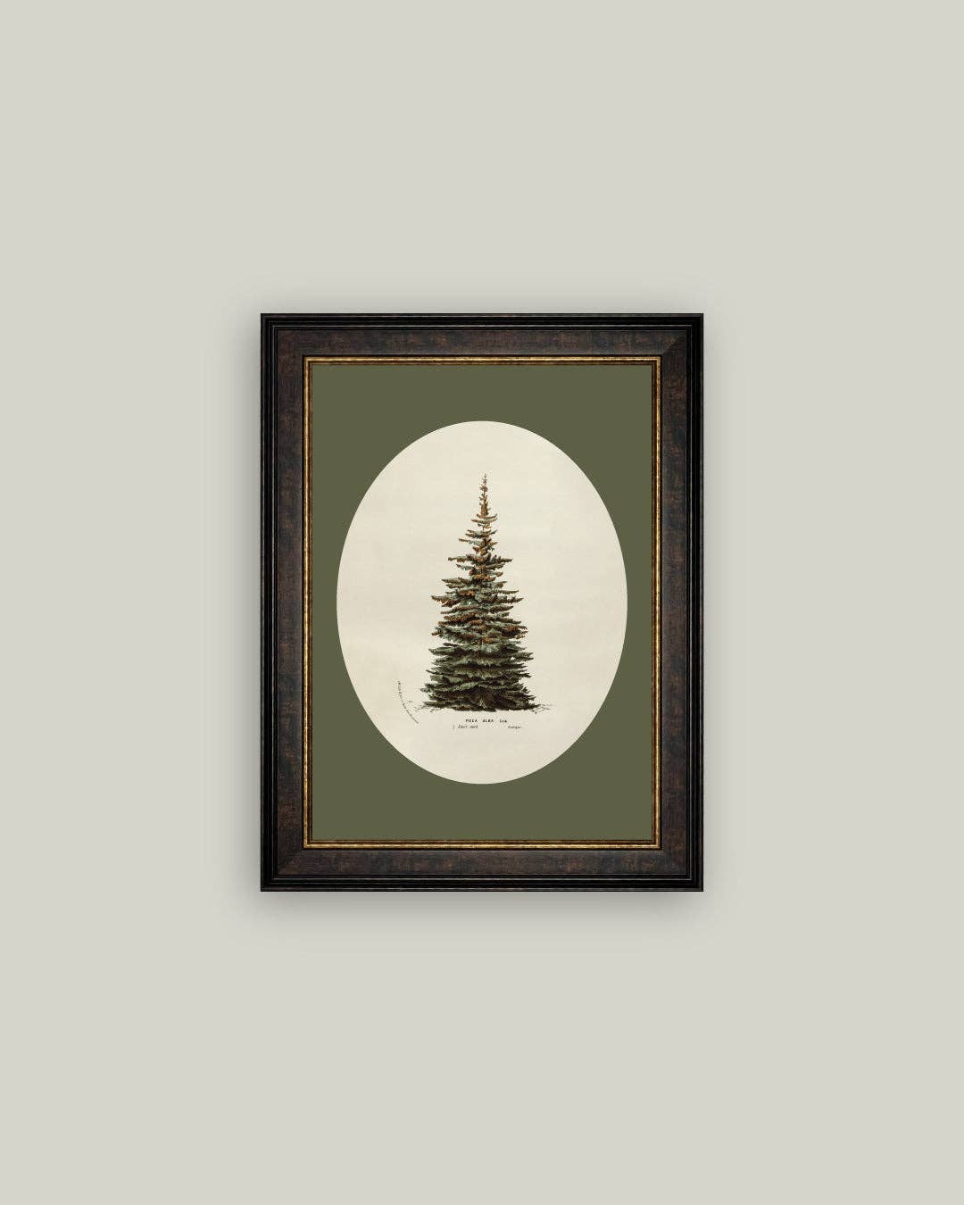 Petal Lane Home - Oval Matte Tree Framed Antique Art