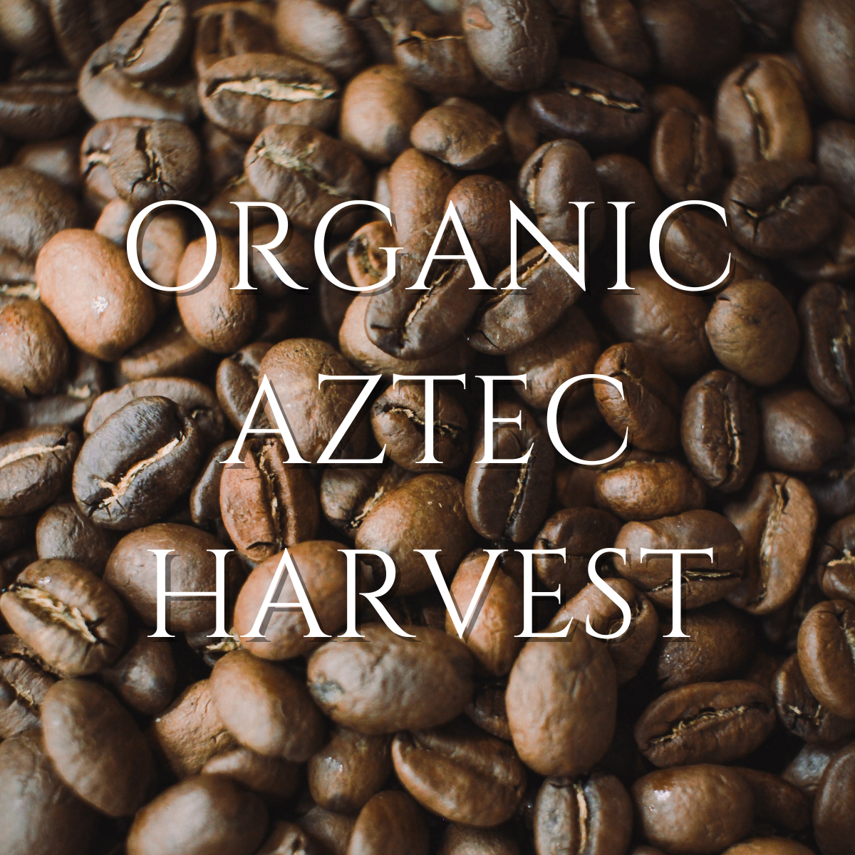 Organic - Aztec Harvest Whole Bean Coffee