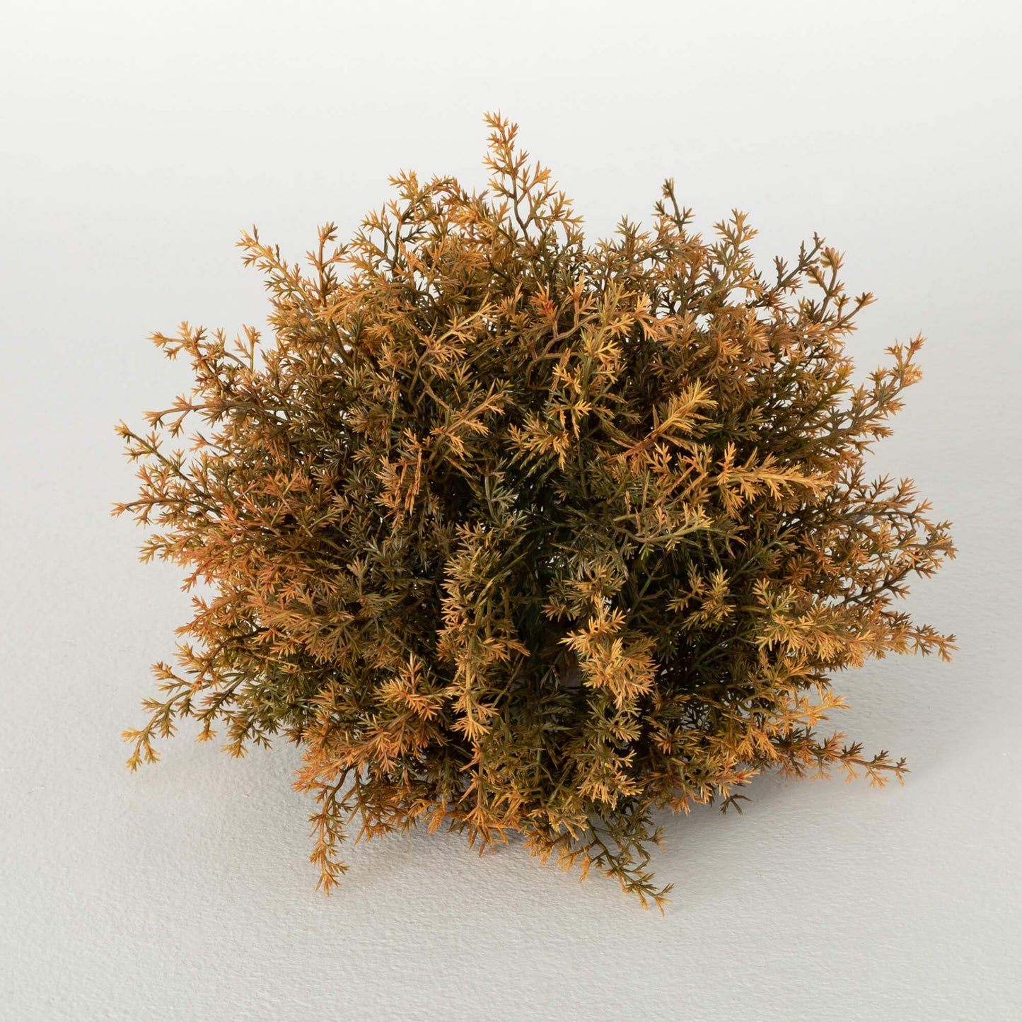 Cypress Orb