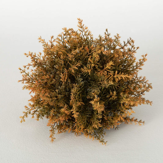Cypress Orb