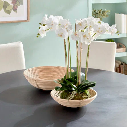 Cane Rattan Low Bowl Basket - Handmade