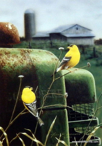 Golden Memories, Mark Bordignon