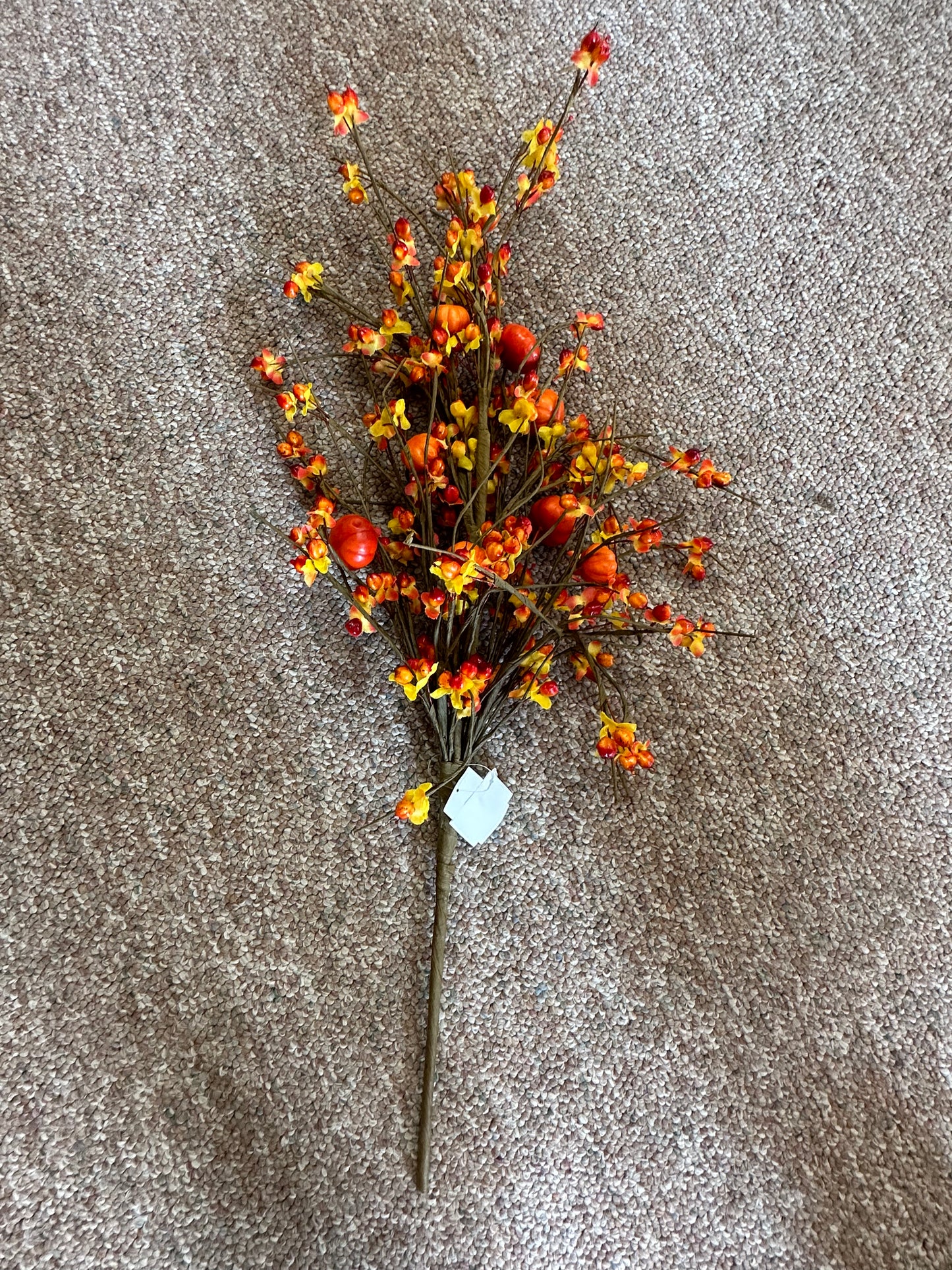 Pumpkin Fall Stem