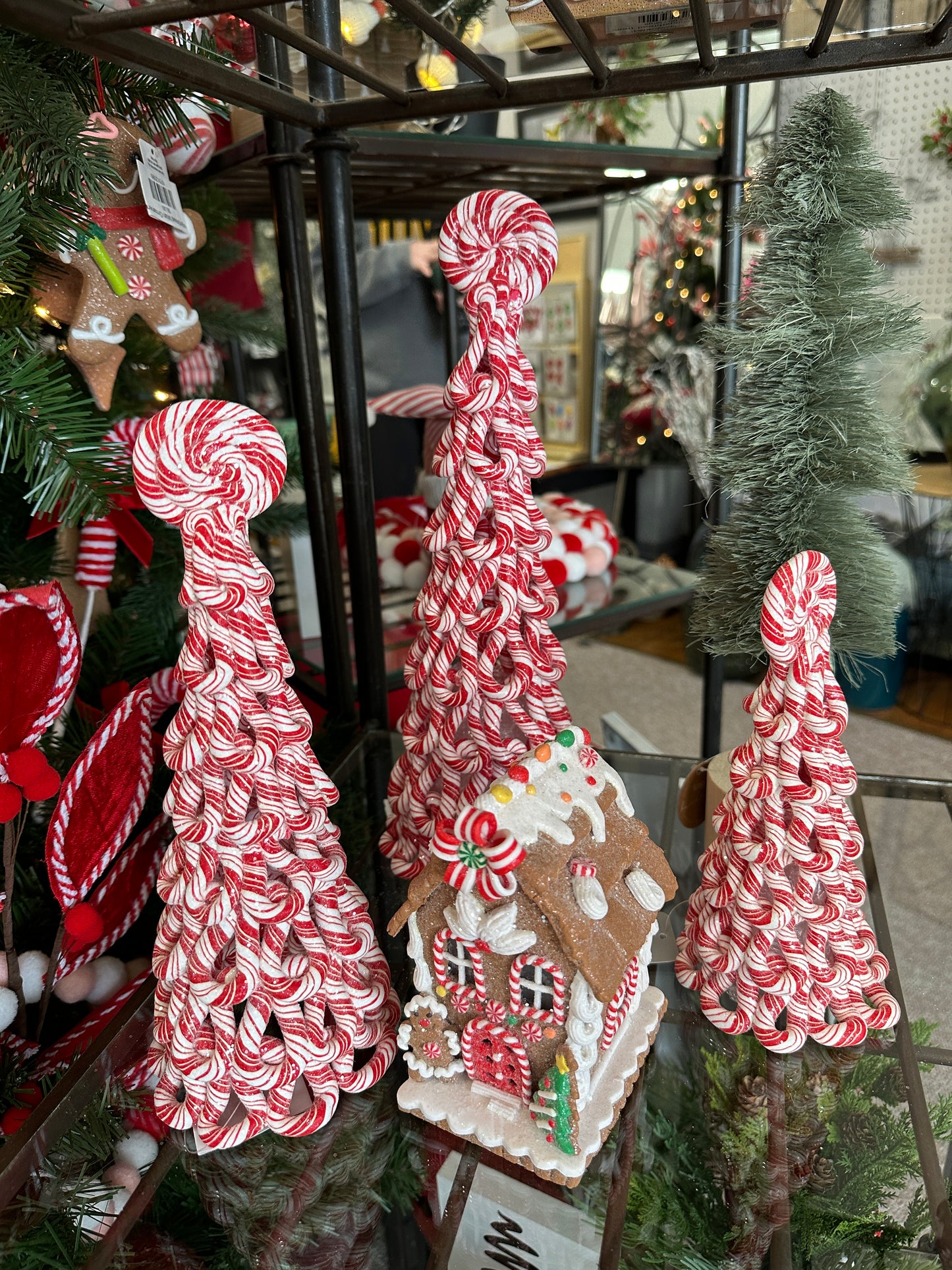 Peppermint Trees