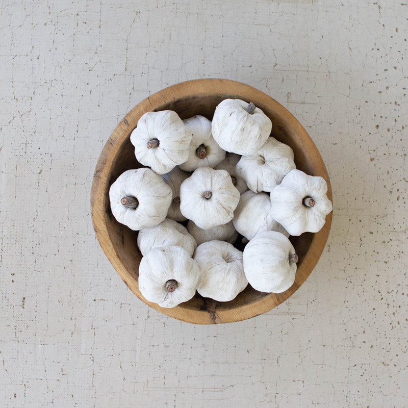 Bag of 15 Dried Miniature Faux Pumpkins / White