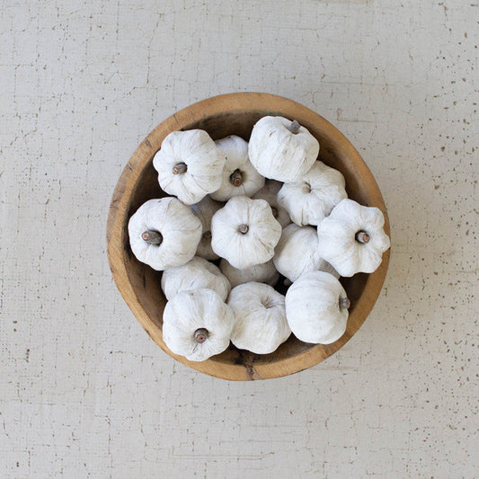 Bag of 15 Dried Miniature Faux Pumpkins / White