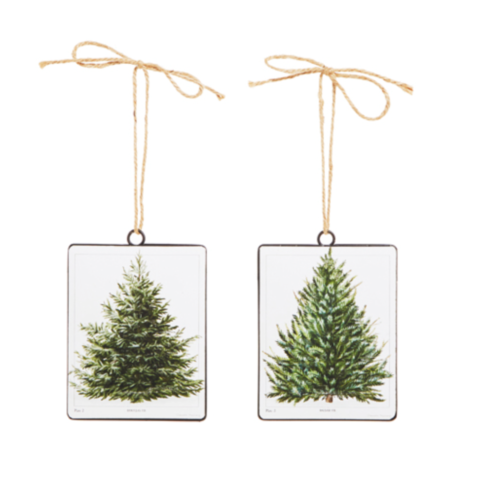 Fir Tree Disc Ornaments