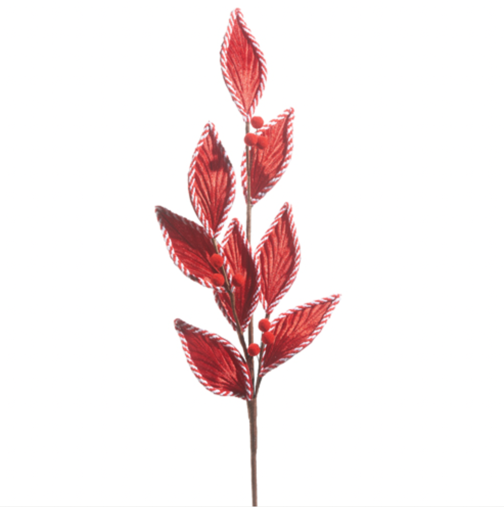 Red Velvet Leaf Spray