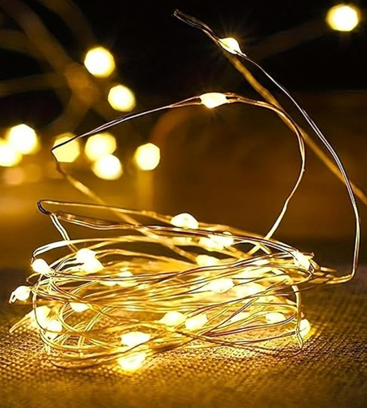 LED Indoor/Outdoor Light String