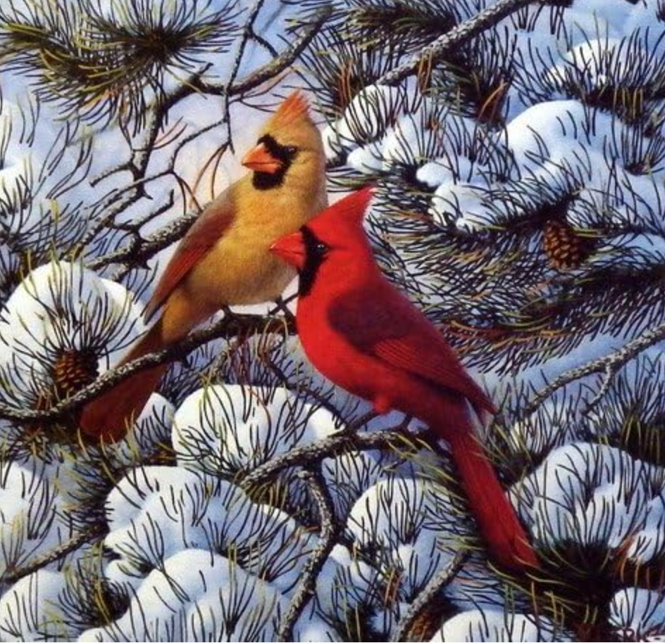 Fire In The Snow, Derk Hansen