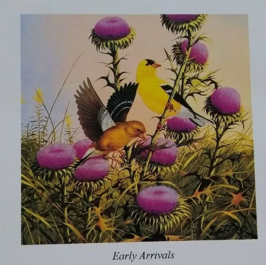 Early Arrivals, Derk Hansen