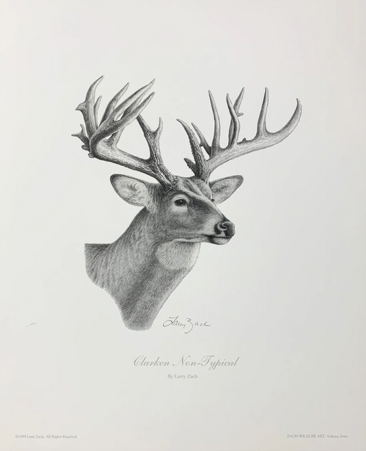 Clarken Non-Typical, Larry Zach