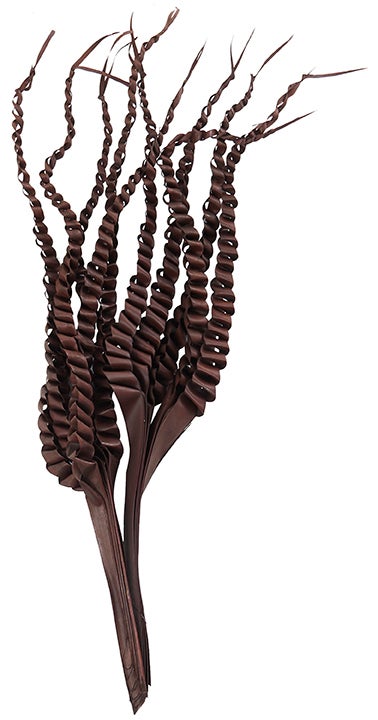 Spooky Stem