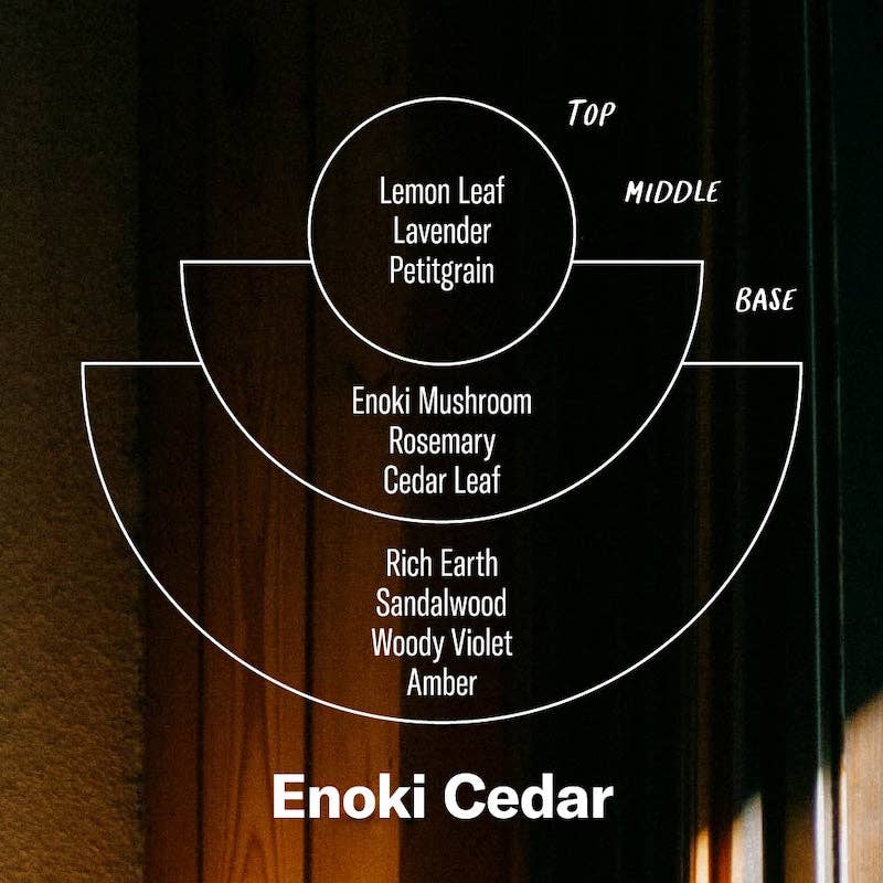 P.F. Candle Co. Enoki Cedar – 3.5 oz Reed Diffuser