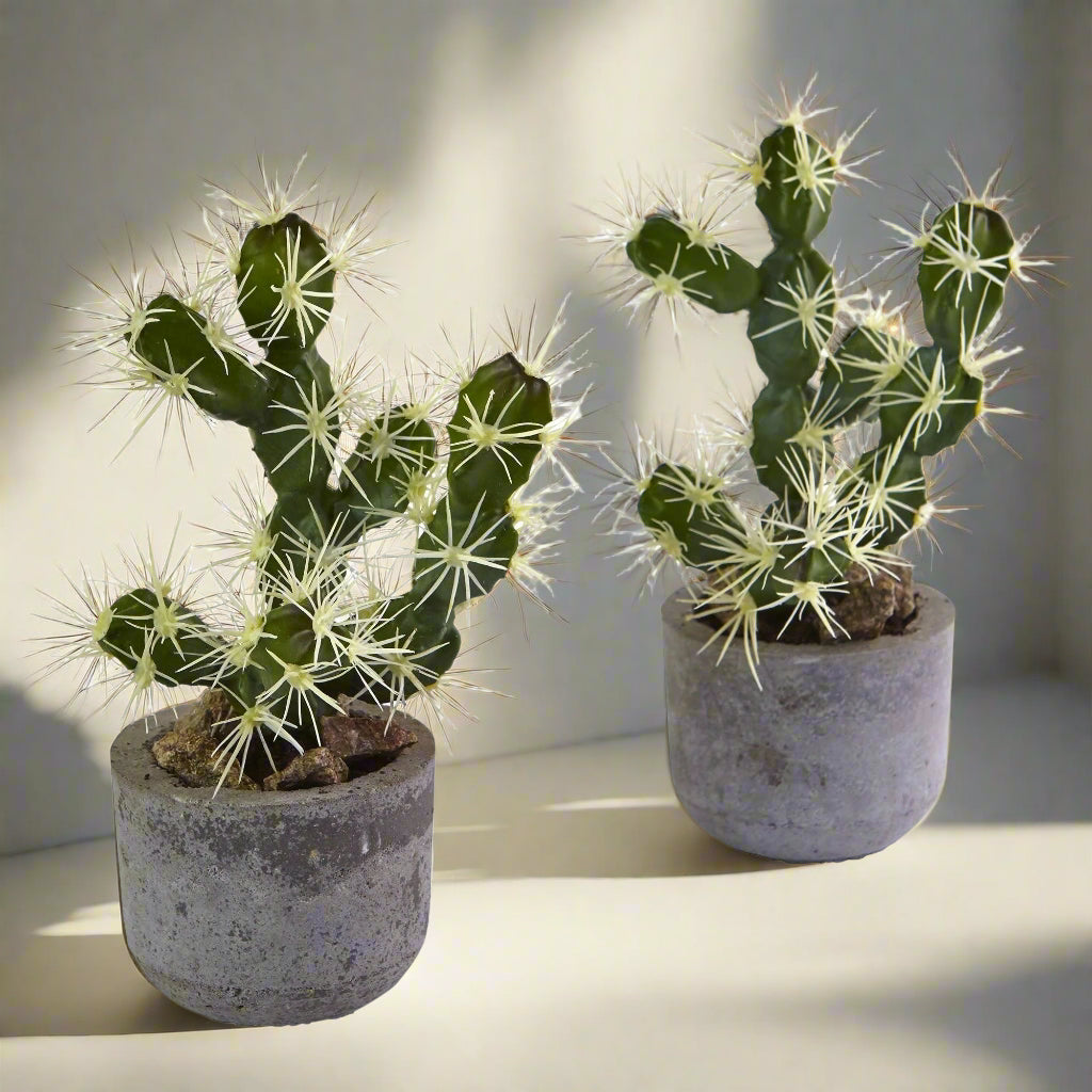 10” Cactus Potted (Set of 2)
