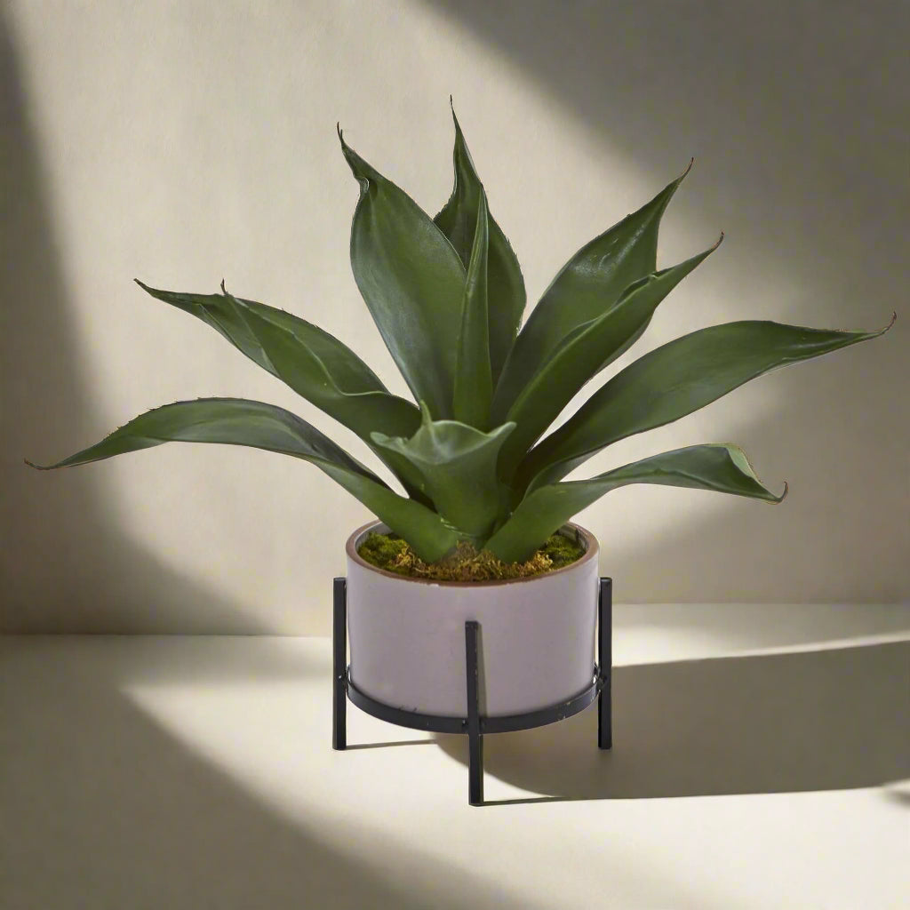 14” Agave Succulent in Decorative Planter