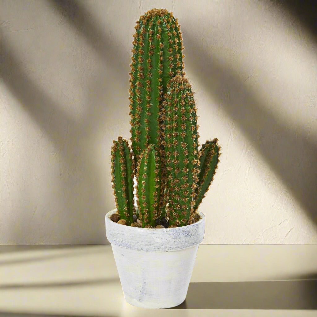 1.5’ Cactus Succulent Artificial Plant
