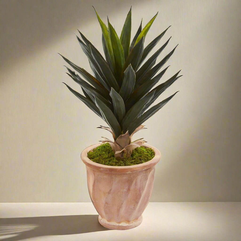 2' Agave Artificial Plant in Terra Cotta Planter