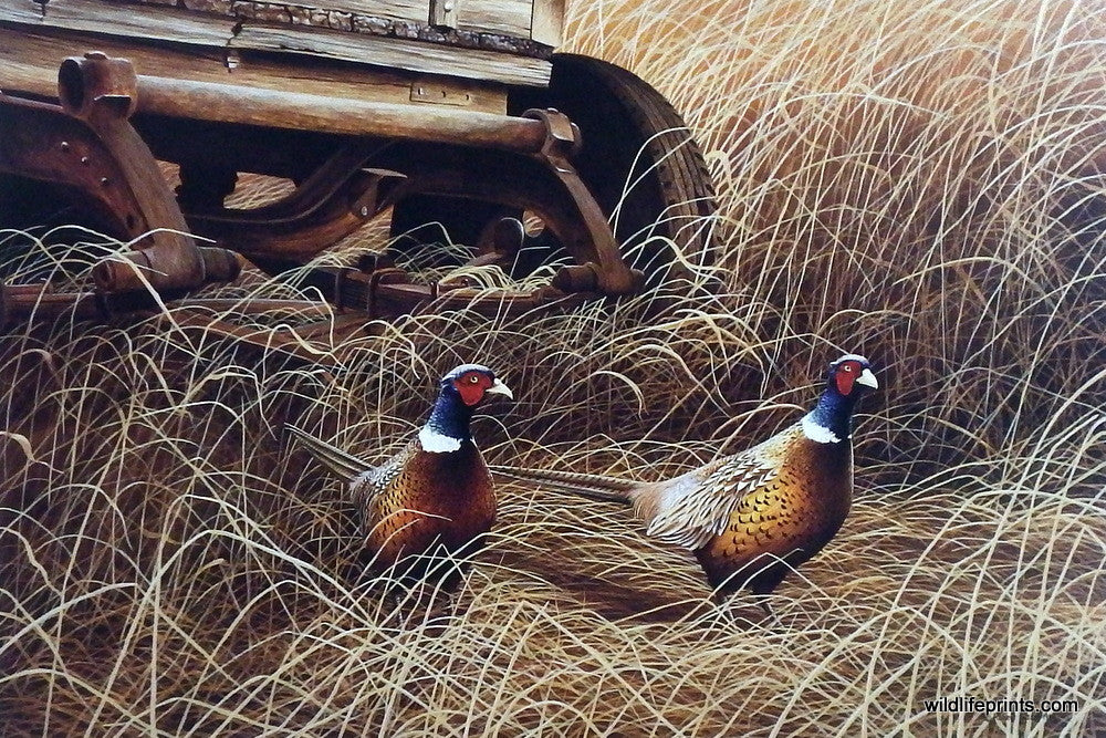 Autumn Refuge. Robert Sissel
