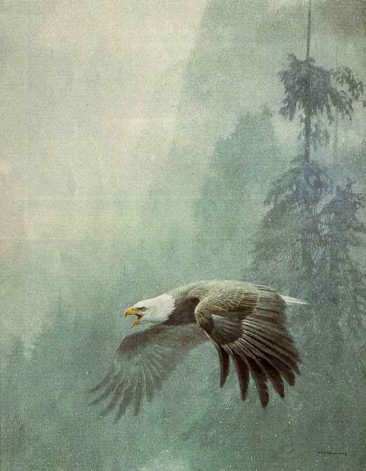 Vigilance. Robert Bateman
