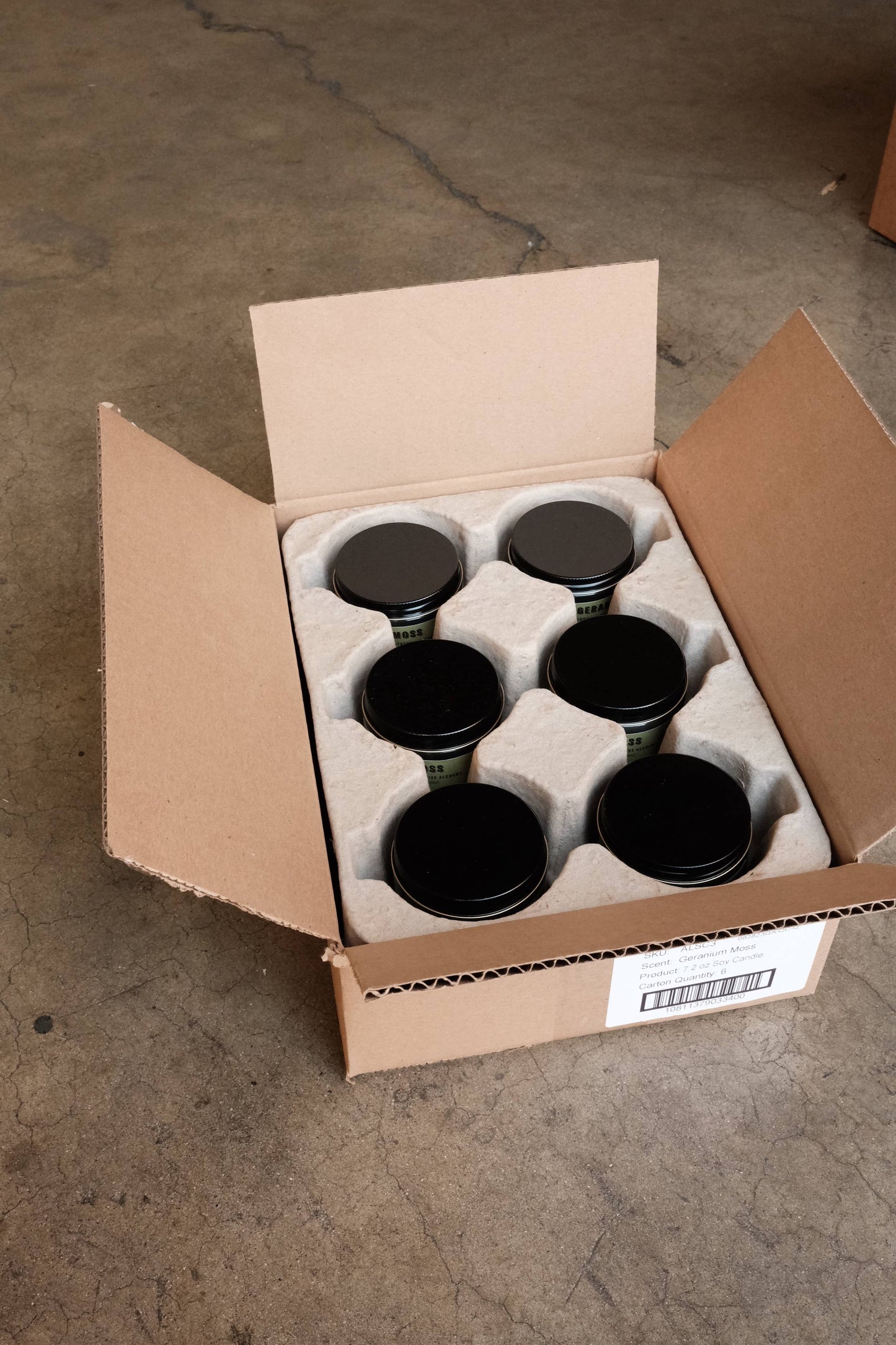 P.F. Candle Co. Myrtle Mint - 7.2 oz Alchemy Soy Candle