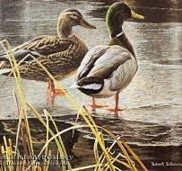 Mallard Pair - Early Winter, Robert Bateman