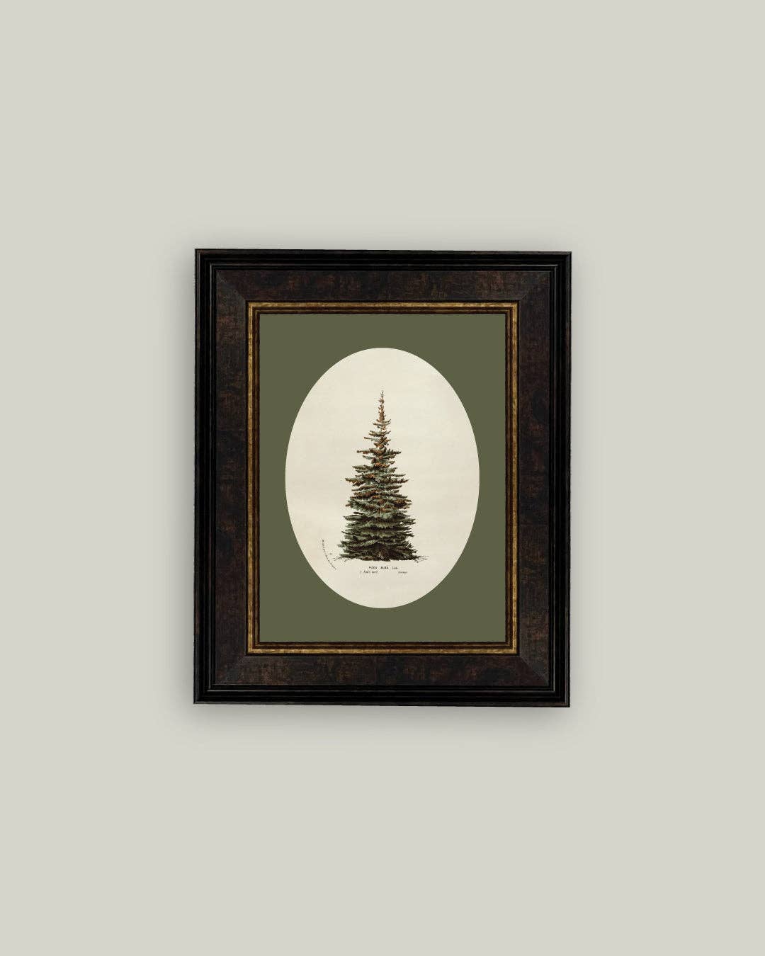 Petal Lane Home - Oval Matte Tree Framed Antique Art
