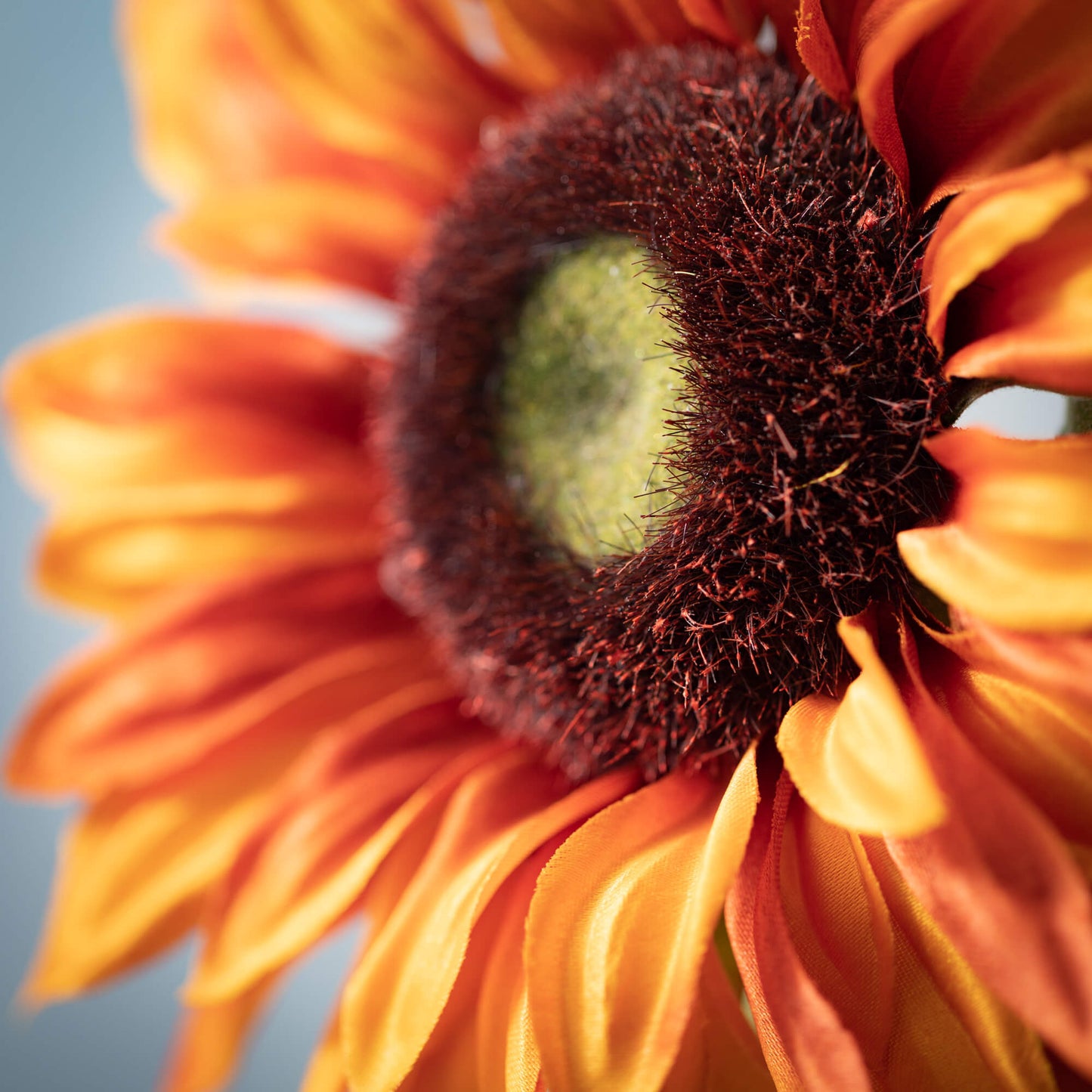 Fall Sunflower Spray