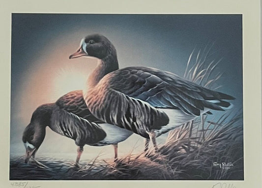 White Fronted Geese, Terry Redlin