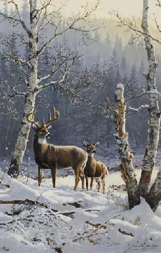 River of Gold-Whitetail Deer, Persis Clayton Weirs